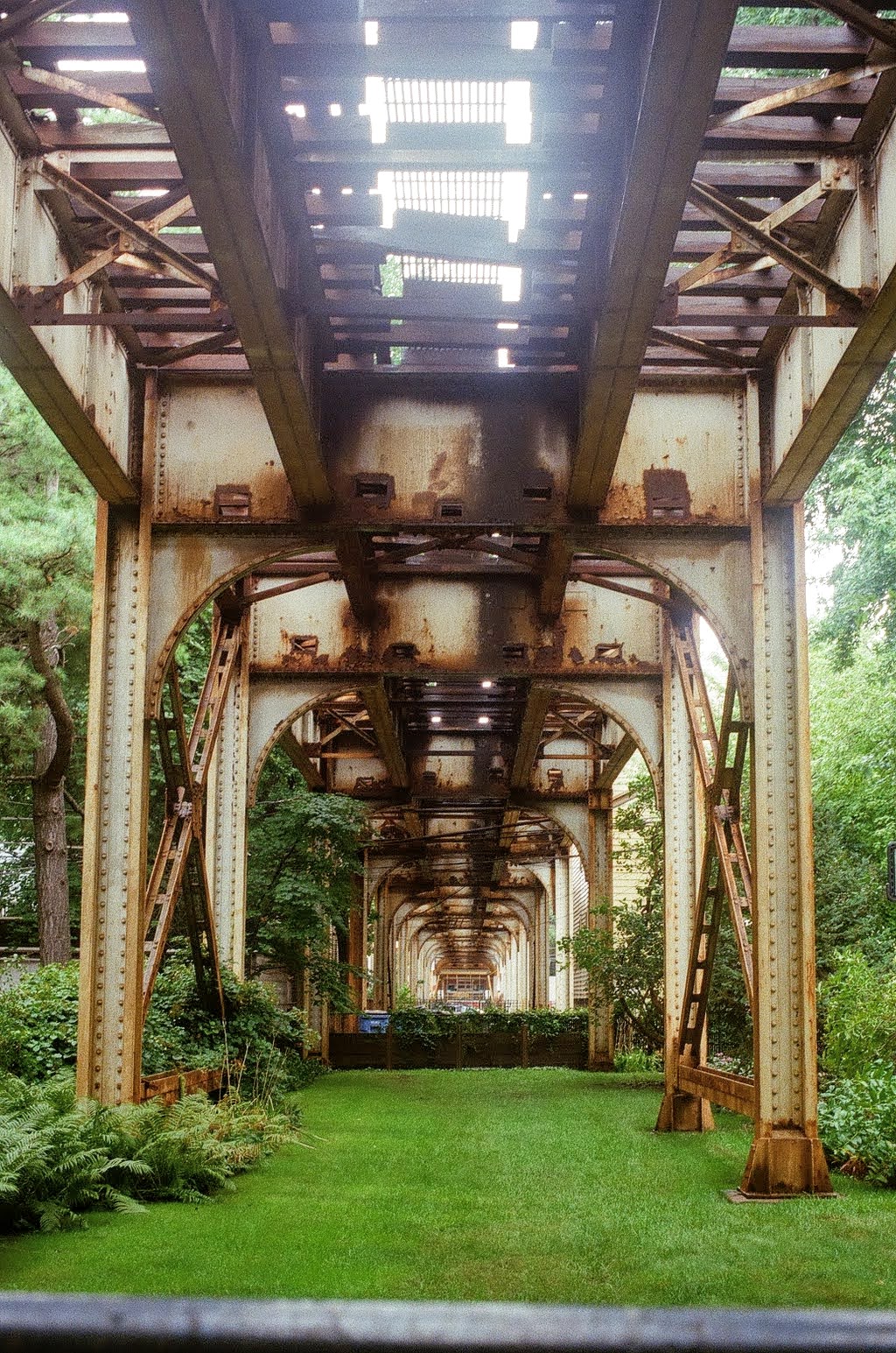 Greenery beneath an elevated rail structure in Chicago