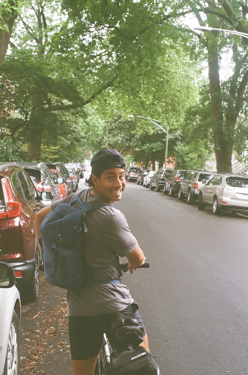 Cyclist on a tree-lined Chicago street