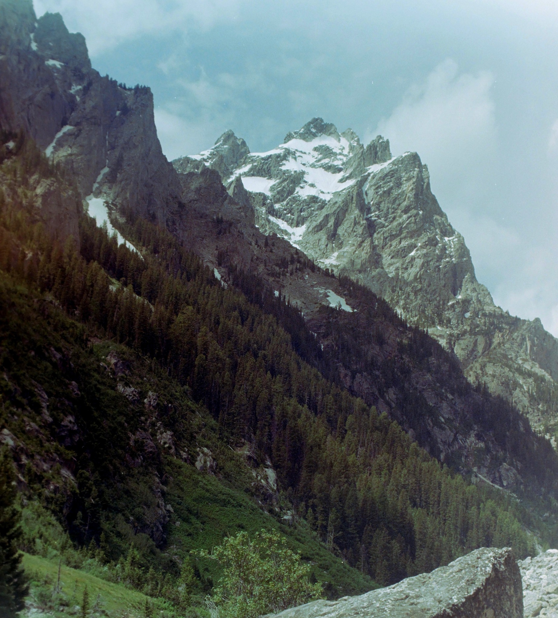 Rocky mountain peak above a forested valley
