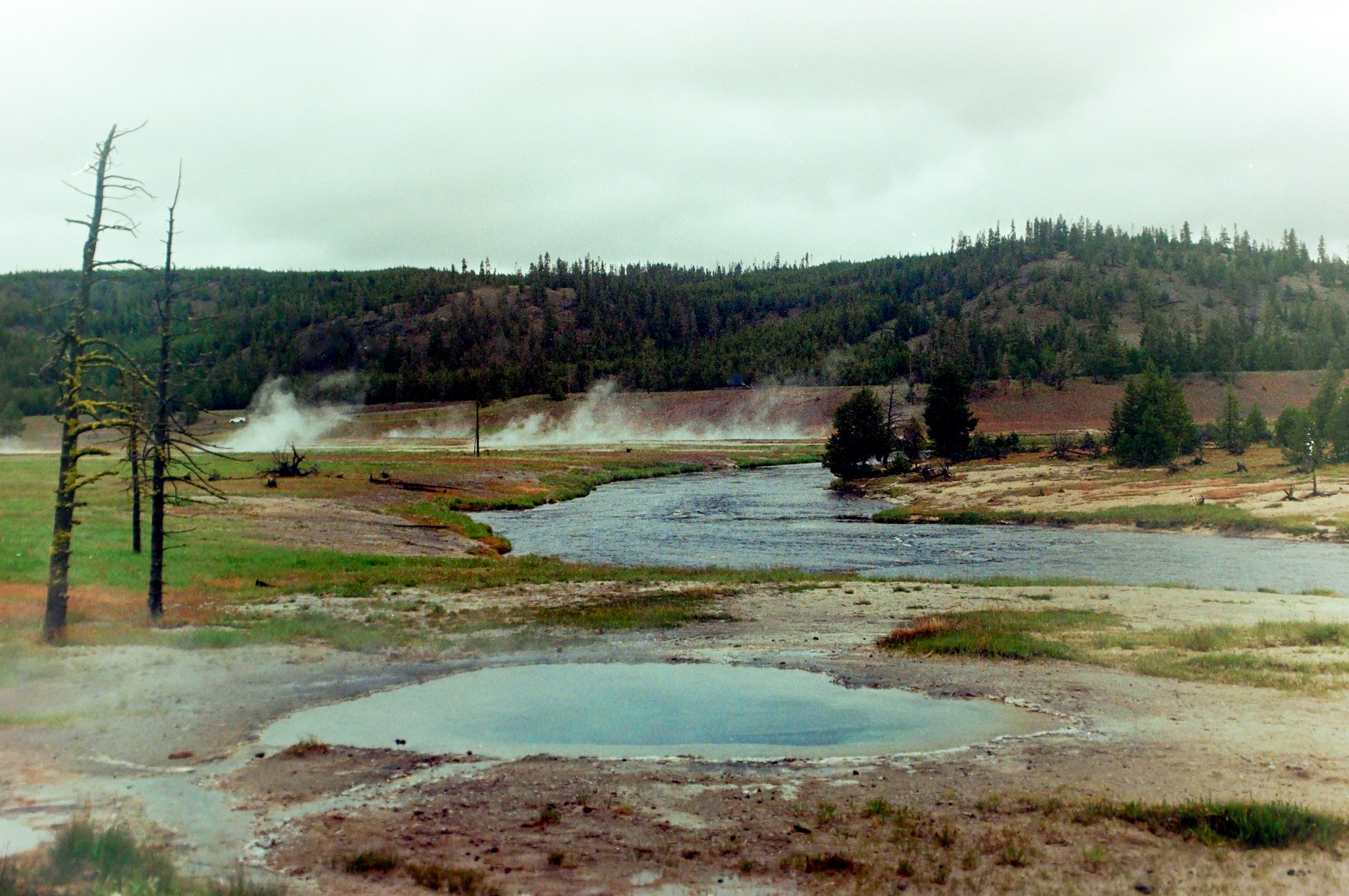 Yellowstone landscape photographed on film