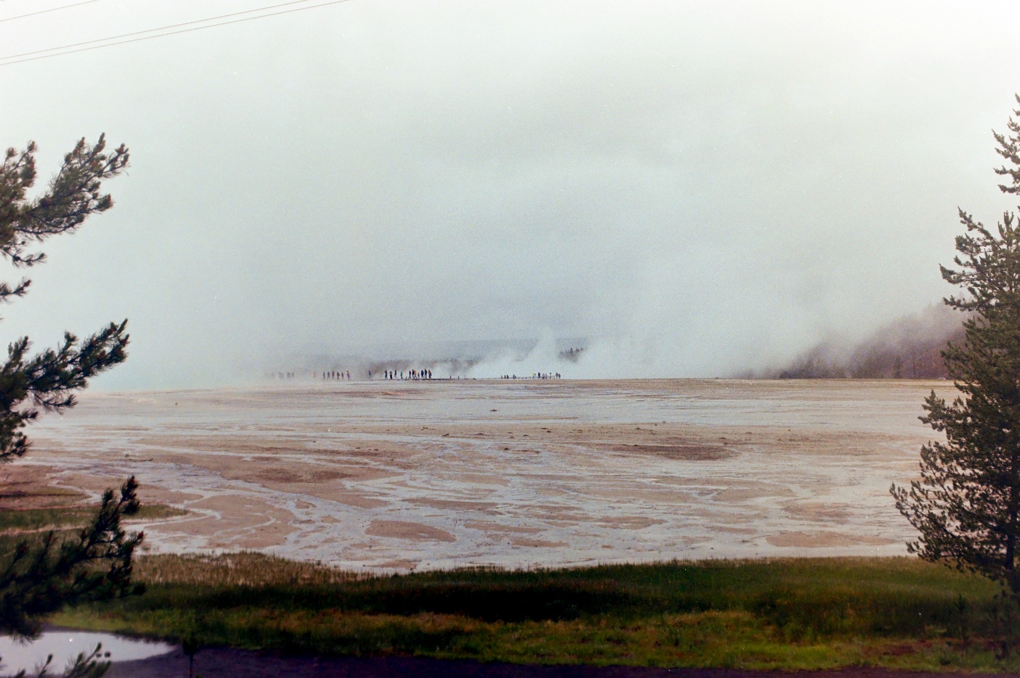 Yellowstone landscape photographed on film