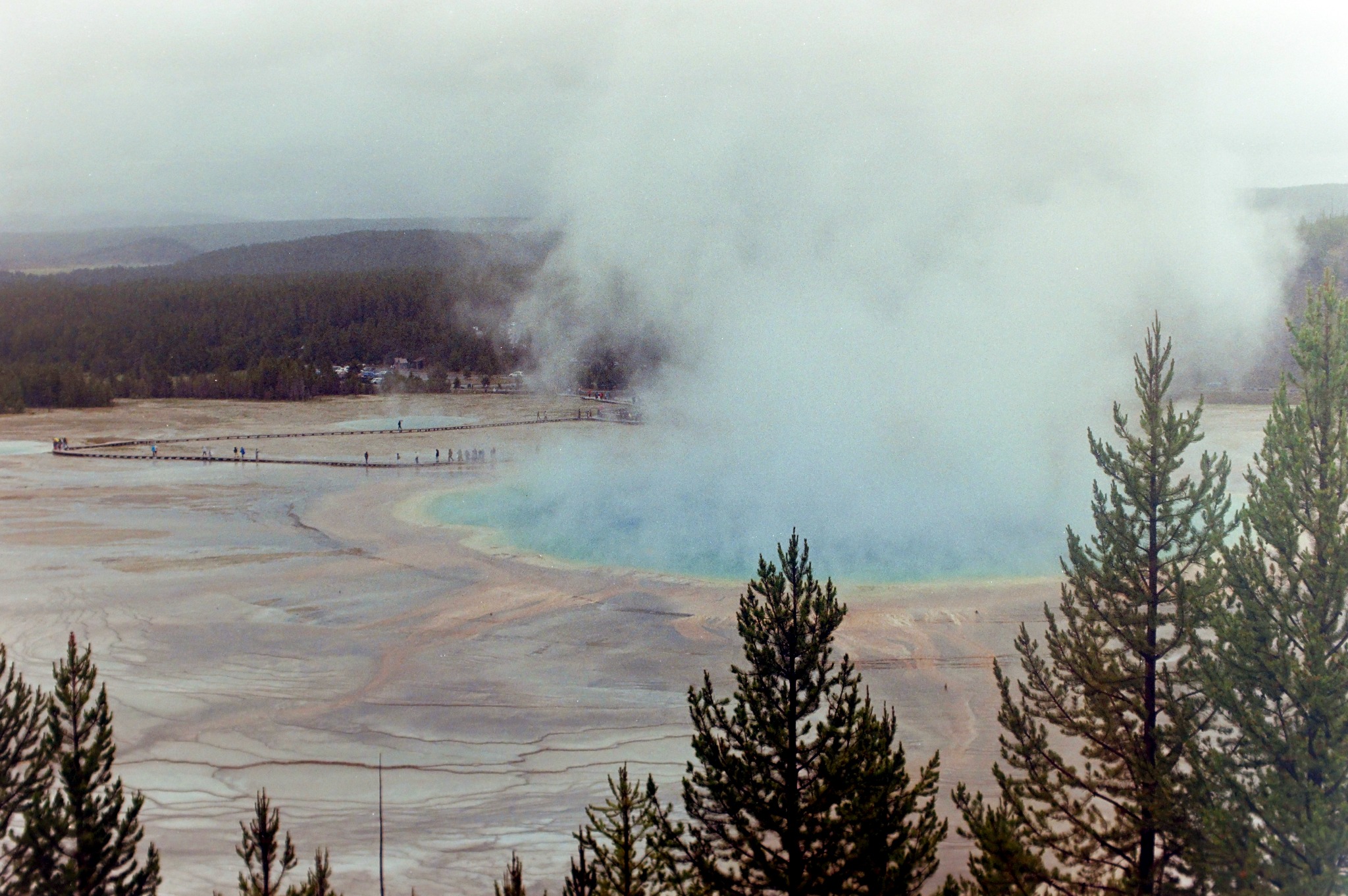 Yellowstone landscape photographed on film