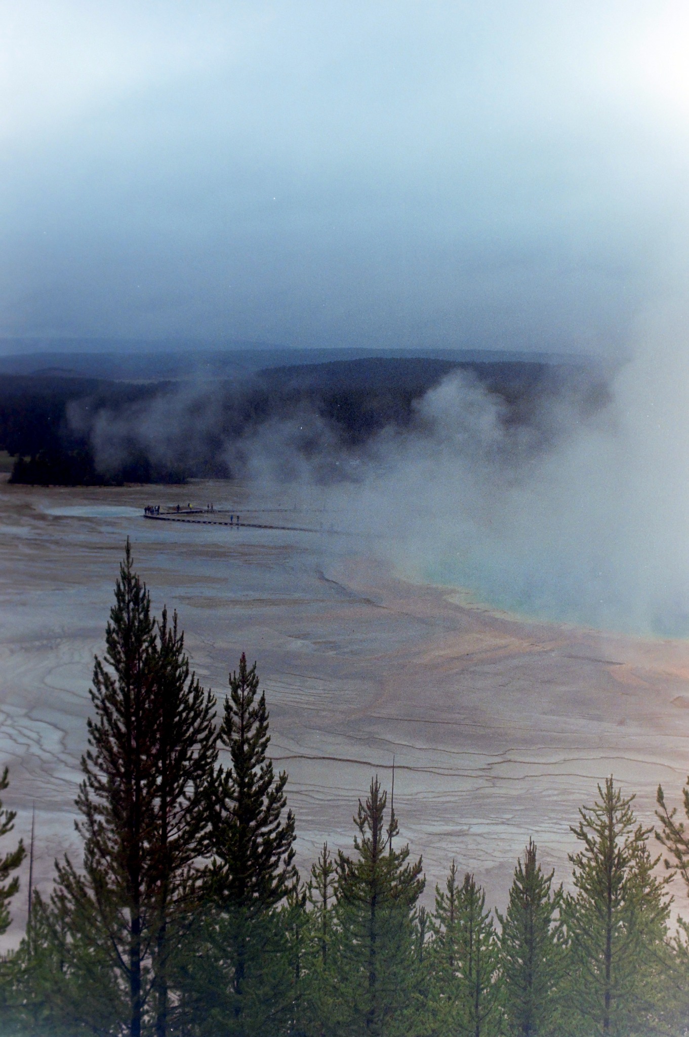 Yellowstone photograph on film