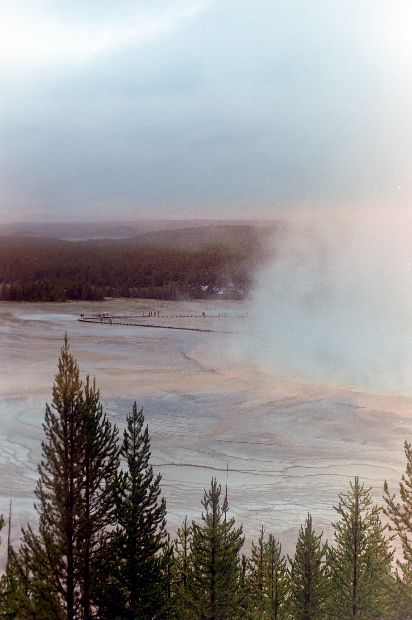 Yellowstone photograph on film